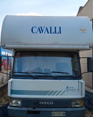 van cavalli usato 
