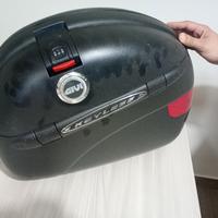 coppia di valigie laterali givi