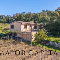 Calangianus, La Talga | Casa di campagna con vigne