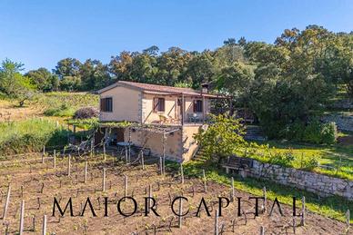 Calangianus, La Talga | Casa di campagna con vigne