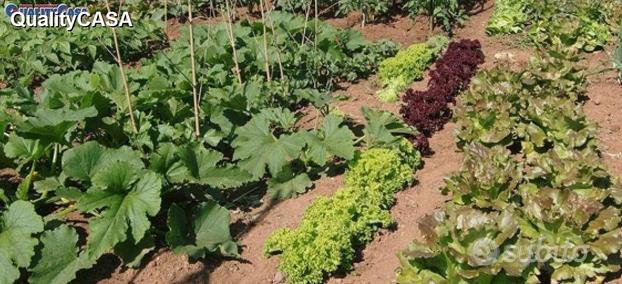 Lotti agricoli per orto a Chiaravalle