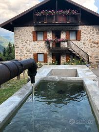 Vacanze Invernali sulle Dolomiti