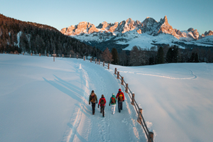 Last minute Gennaio Febbraio a Predazzo