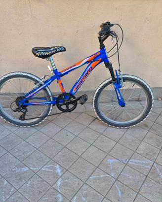 MTB Daytona Shark 20" bambino