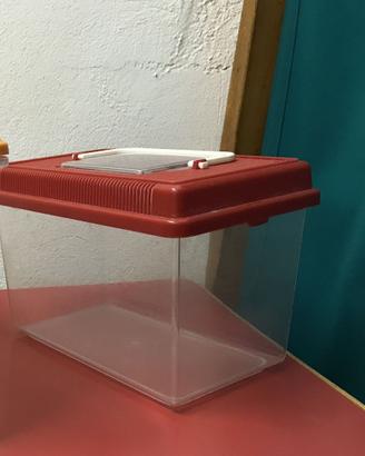 vaschetta per pesci-vaschetta per tartaruga