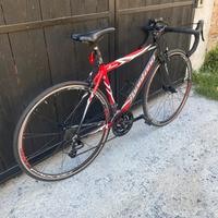 Bici da corsa Montana