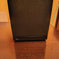 Subwoofer Attivo Sony SA-WM40 – 120W | Driver 12"