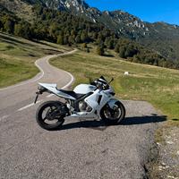 CBR 600 RR
