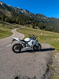 CBR 600 RR