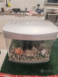 acquario wave 35 litri