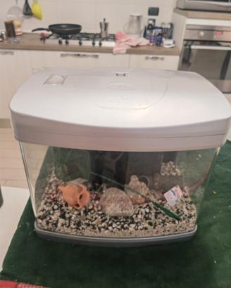acquario wave 35 litri