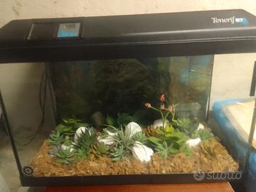 acquario Tenerif 67 by askoll