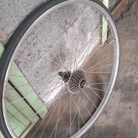 cerchio bici posteriore 