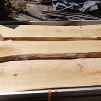 Disponibili tavole grezze di tiglio per scultura
