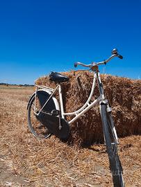 Bicicletta olandese a bacchetta 