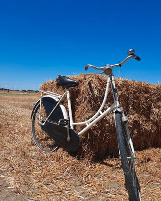 Bicicletta olandese a bacchetta 