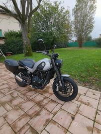 Benelli Leoncino 500