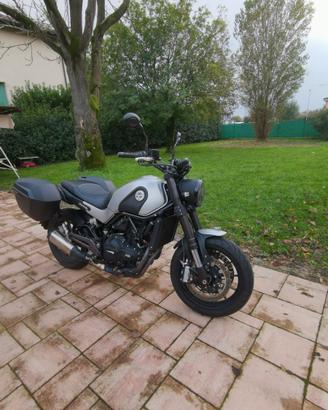 Benelli Leoncino 500