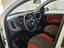 Immagine 10