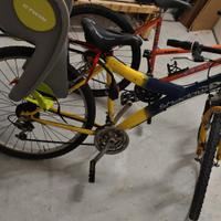 Bicicletta Mountain bike 26" cambio 21 rapporti