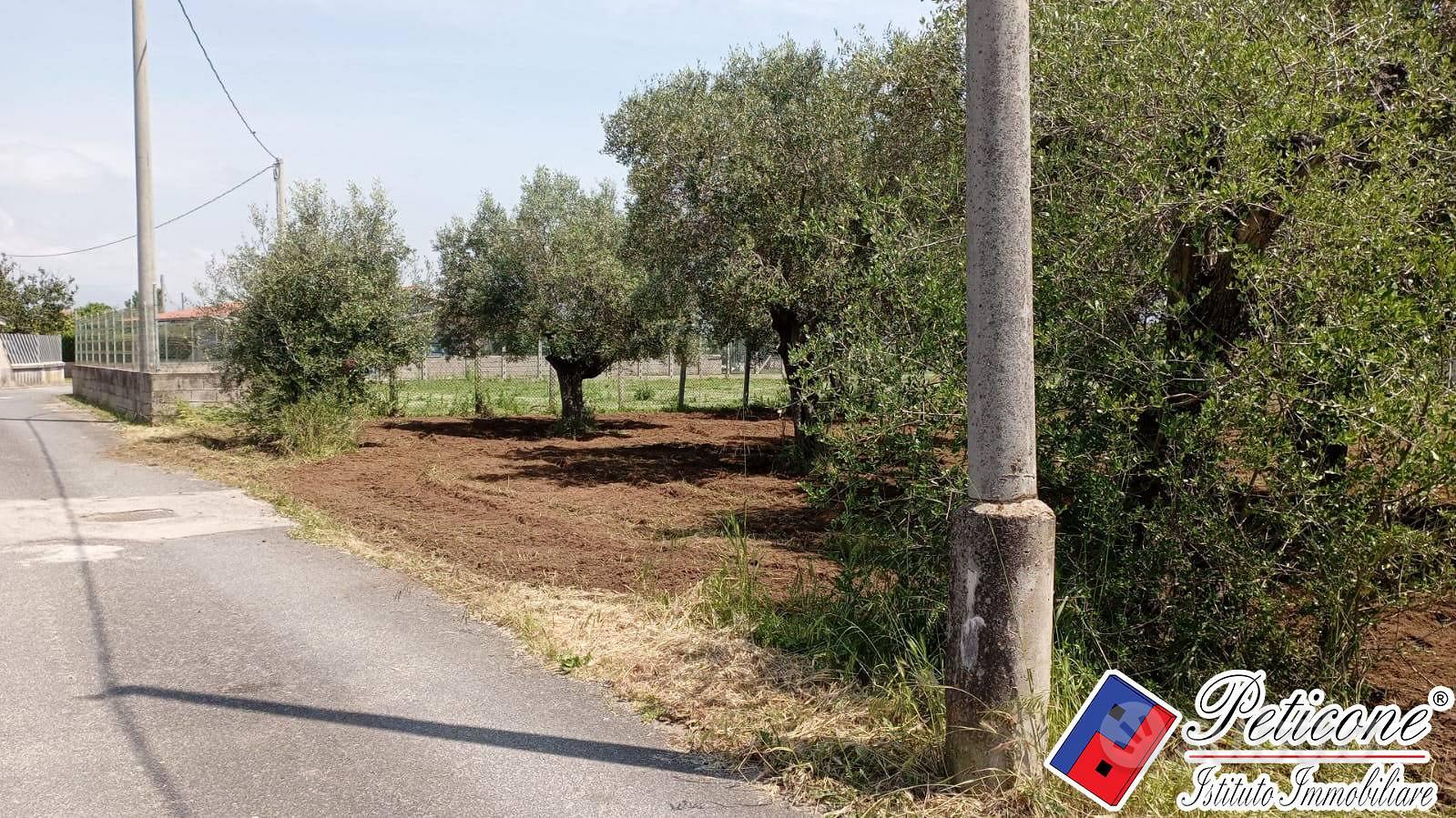 Terreno agricolo - Fondi - Vista 5