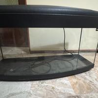Acquario pesci da 80 litri