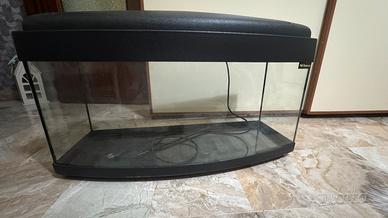 Acquario pesci da 80 litri
