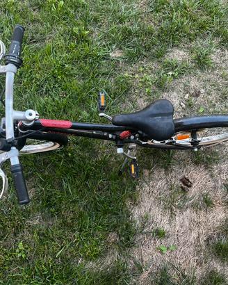 Bici bambina