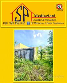 Vigneto con Palmento