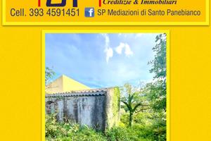 Vigneto con Palmento