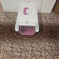 Portantino cane/gatto