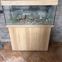 Acquario juwel con mobile