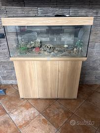 Acquario juwel con mobile