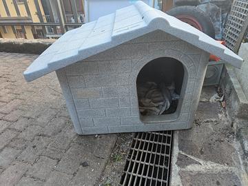 CUCCIA CANE