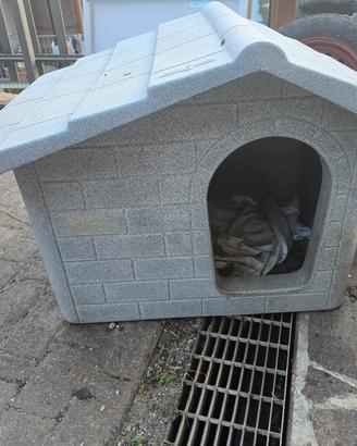 CUCCIA CANE