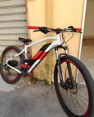 MTB elettrica 