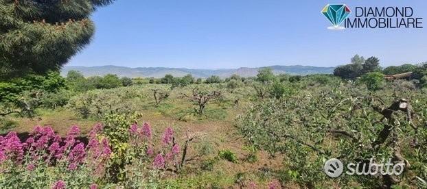 Terreno agricolo 3.200mq zona doc a castiglione