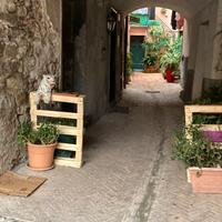 Vecchia cantina Toirano