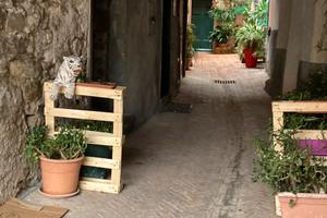 Vecchia cantina Toirano