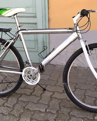 Mountain bike con portapacchi