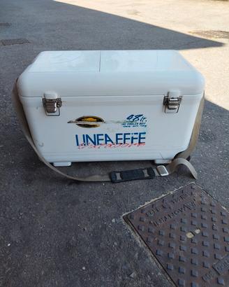 frigo per pesci