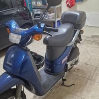 Piaggio free 50