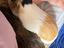 Immagine 5