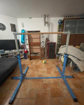 Barra per ginnastica artistica