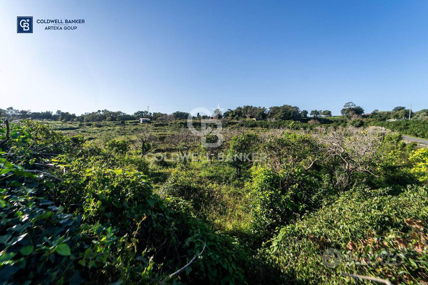 Terreno agricolo - Acireale - Altro