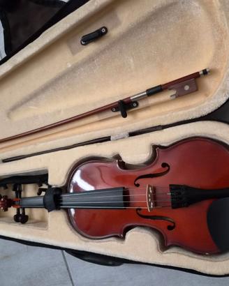 violino