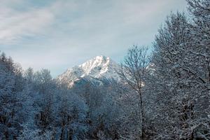 Sauze d'Oulx appartamento 84m seggiovia 100m