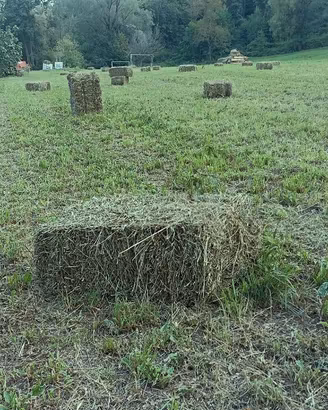 Ballette di fieno polifita primo e secondo taglio