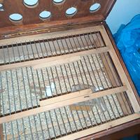 trasportini per uccelli