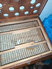 trasportini per uccelli